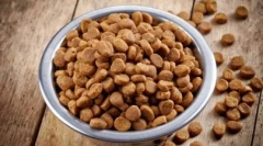 De ce și cum să leagăn alimentele uscate pentru pisici și pisoi